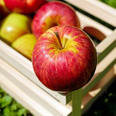 agrogreen-controlled-atmospheric-storage-fruit-vegetable-karachi-pakistan-apple